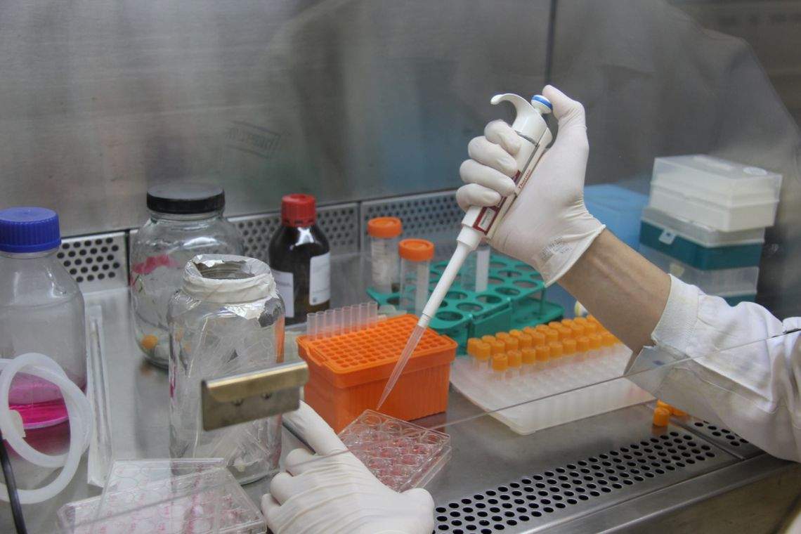 Brasil é O País Ibero-americano Com Mais Artigos Científicos Sobre A Pandemia Do Novo Coronavírus.