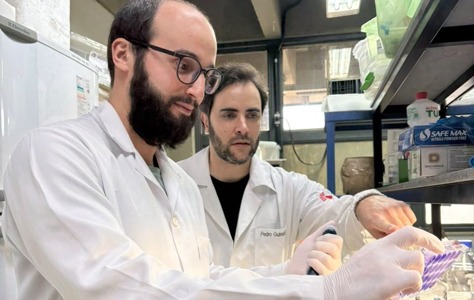 Estudo com participação do CTV-RNA aponta formulação ideal para terapia pulmonar intranasal